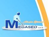 Fotos de Megaseo Siempre Eficientes S.a.s.