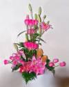 Fotos de Merling Flowers