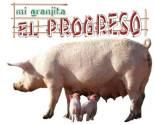 Fotos de Mi Granjita El Progreso - Porcicultura
