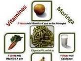 Fotos de Moringa Colombia