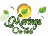 Fotos de Moringa Oro Verde El Árbol De La Vida