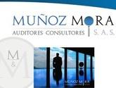 Fotos de Muñoz Mora Auditores Consultores S.a.s