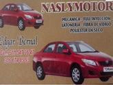 Fotos de Nasly Motor