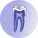 Fotos de Odontólogo Especialista En Periodoncia.