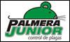 Fotos de Palmera Junior Control De Plagas