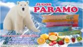 Paramo Bebida Refrescante