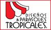 Fotos de Parasoles Tropicales