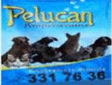 Fotos de Pelucan