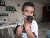 Fotos de Peluches Pet