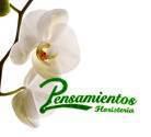 Fotos de Pensamientos Floristeria