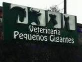 Fotos de Pequeños Gigantes Veterinaria En La Calera