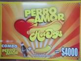 Fotos de Perro Amor Hot Dogs
