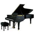 Fotos de Pianos Rey