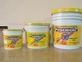 Fotos de Pinturas Poseidon
