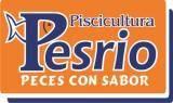 Fotos de Piscicultura - Pesrio