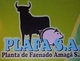 Fotos de Plafa Planta De Sacrificio