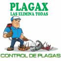 Fotos de Plagax “Las Elimina Todas”