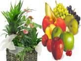 Fotos de Plantas Frutas Y Sus Virtudes Curativas