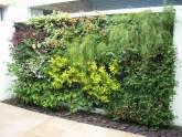 Fotos de Plantas Selectas Ltda