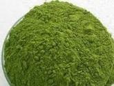 Fotos de Productos Moringa