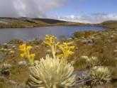 Fotos de Proyecto Piedras Blancas