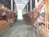 Fotos de Rancho Villa Rosa