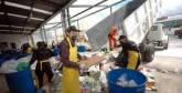 Fotos de Cooperativa Antioqueña De Recolectores