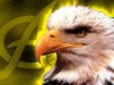 Fotos de Recuperadora De Materiales Las Aguilas Del Norte