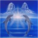 Fotos de Residencia Los Delfines