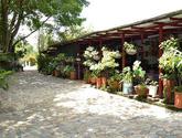 Fotos de Restaurante Tienda Montañera