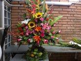 Fotos de Rosas Y Detalles