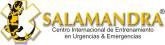 Fotos de Salamandra
