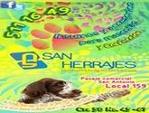 Fotos de San Herrajes