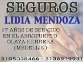 Fotos de Seguros Lidia Mendoza
