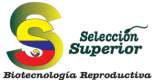 Fotos de Selección Superior
