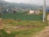 Fotos de Servicios Inmobiliarios La Sureña Finca Raiz
