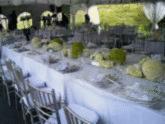 Fotos de Servielite Eventos