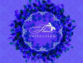 Fotos de Shine Collection