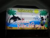 Fotos de Si Somos Pacifico