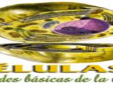 Fotos de Sistema Circularotio