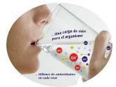 Fotos de Sistema De Filtración “Agua Hidrogenada Alkaline”