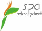 Fotos de Spa Petroit Palmett