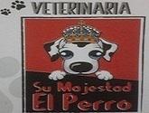 Fotos de Su Majestad El Perro