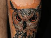 Fotos de Subterranea Tattoo Zona Rosa