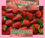 Fotos de Superfresas Ltda.