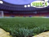 Fotos de Surygol