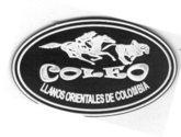 Fotos de Talabarteria Coleo