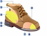 Fotos de Taller De Calzado Y Zapateria Golden Leather