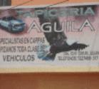 Fotos de Tapiceria Aguila