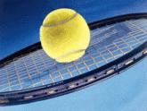Fotos de Tennis Store C.a